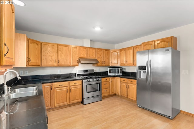 kitchen featuring light wood-type flooring, stainless steel appliances, and sink