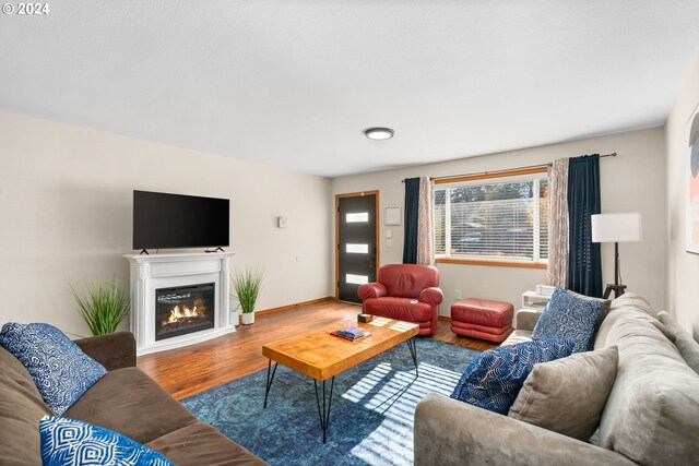 living room featuring wood-type flooring