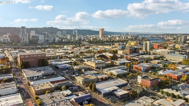 bird's eye view with a mountain view