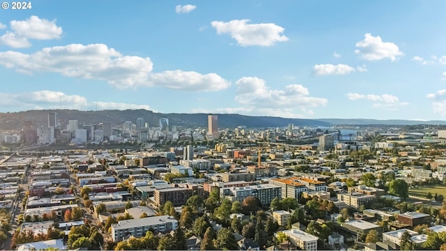 drone / aerial view featuring a mountain view