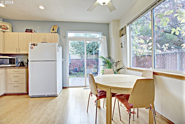 dining area with light wood-type flooring and ceiling fan