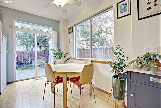 dining area featuring light hardwood / wood-style floors and ceiling fan