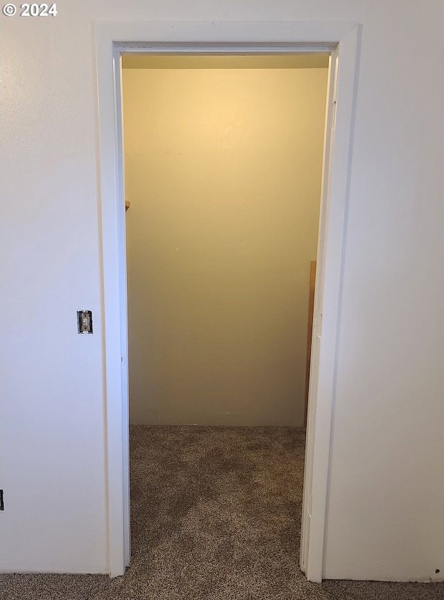 hallway featuring carpet flooring