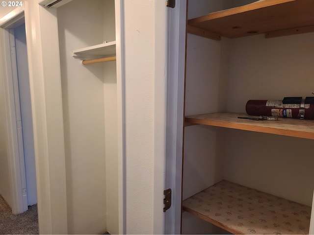 view of closet