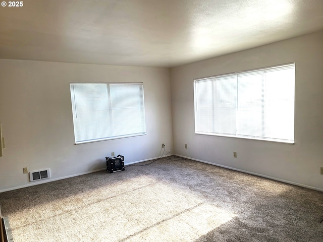 spare room with carpet