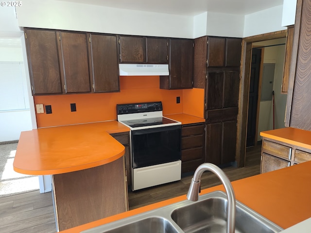 kitchen featuring white electric range, sink, dark brown cabinets, and exhaust hood