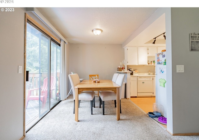 carpeted dining area with a textured ceiling