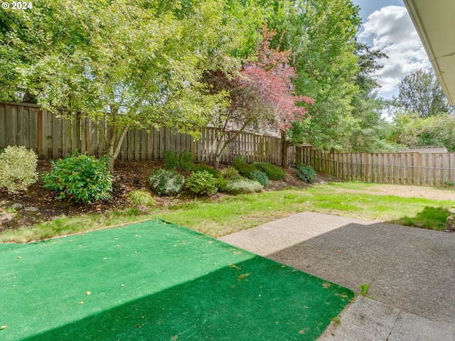 view of yard featuring a patio