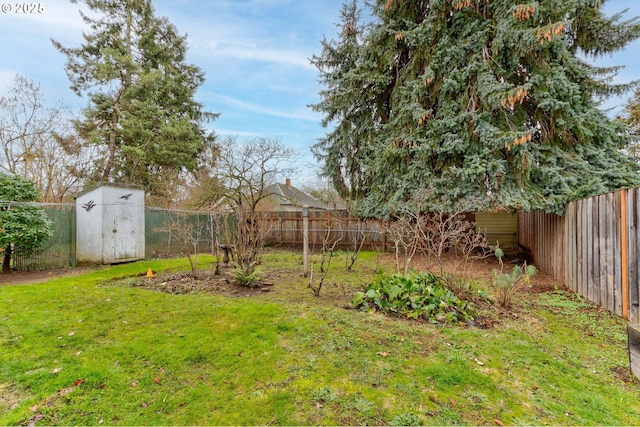 view of yard featuring a storage unit