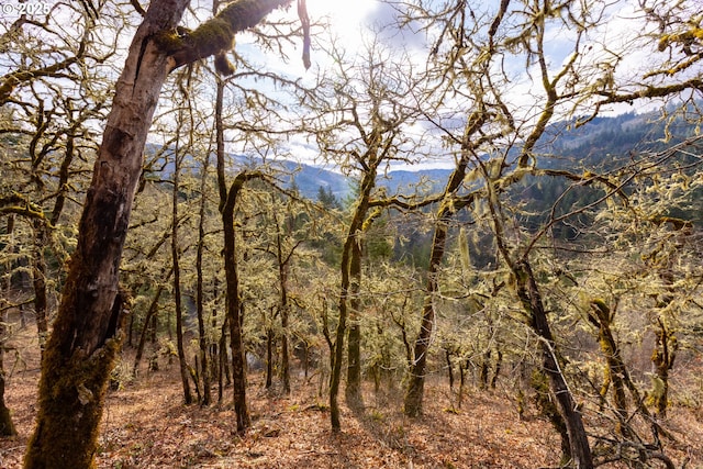 property view of mountains featuring a view of trees