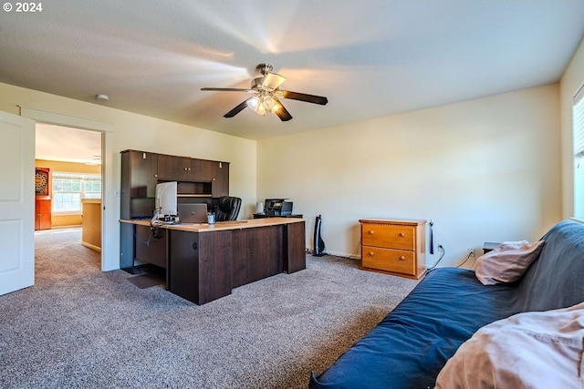 office space featuring ceiling fan and carpet