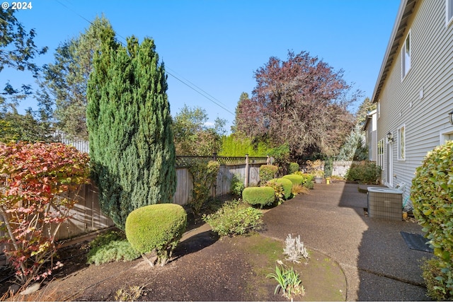 view of yard featuring a patio area