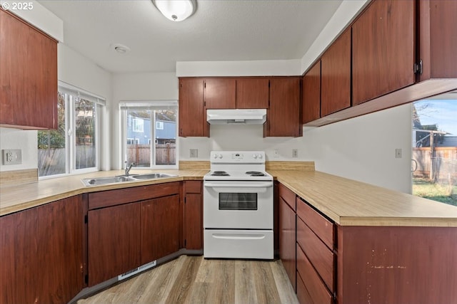 2427 SW 218th Dr, Beaverton, OR 97003 - kitchen with white electric stove, under cabinet range hood, a sink, light wood-style flooring, and light countertops