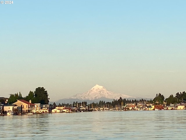 property view of water featuring a mountain view