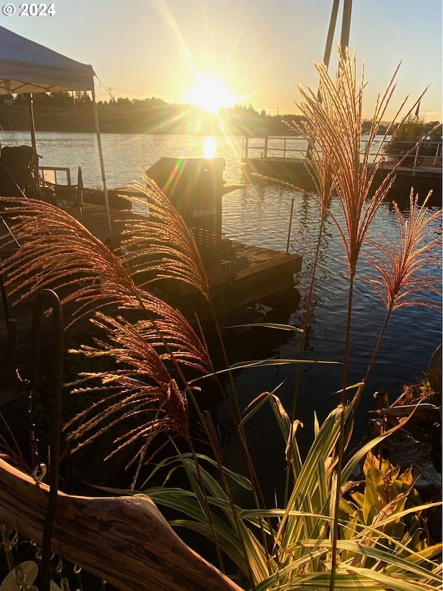 view of water feature