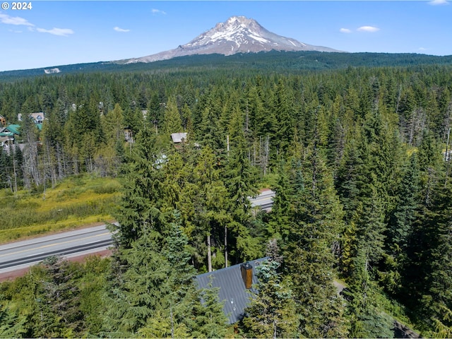 88940 E Round Mountain Loop, Government Camp, OR 97028 - view of property location featuring a heavily wooded area and a mountain backdrop