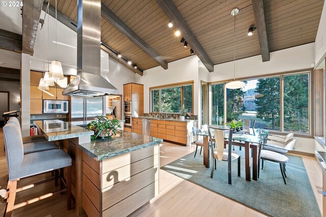 45650/45646 Mckenzie Hwy, Vida, OR 97488 - kitchen featuring appliances with stainless steel finishes, island range hood, modern cabinets, wooden ceiling, and light wood-style flooring