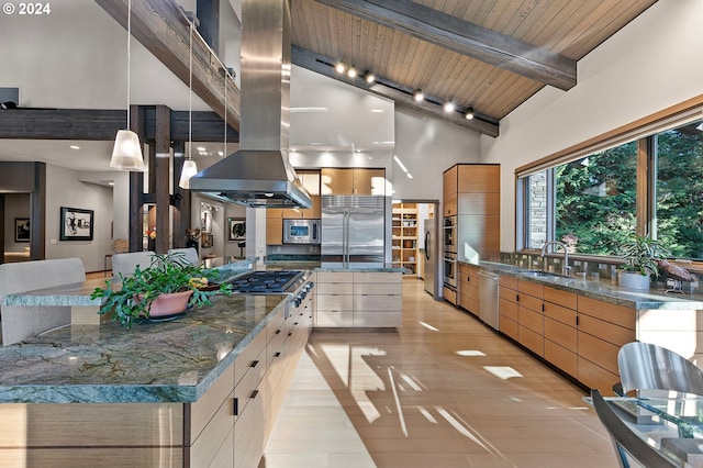 kitchen with sink, hanging light fixtures, stainless steel appliances, high vaulted ceiling, and island range hood