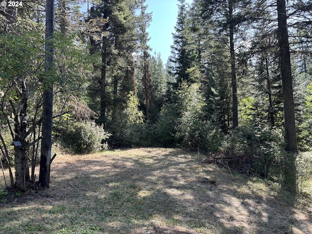 view of nature featuring a view of trees