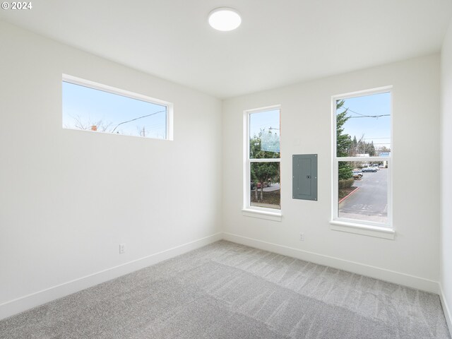 carpeted spare room with electric panel