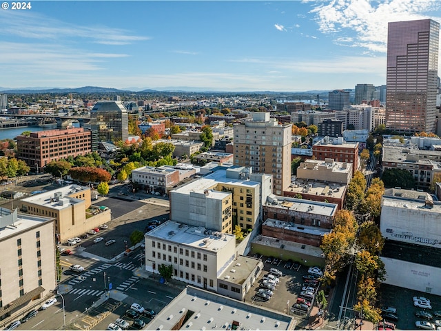 property's view of city