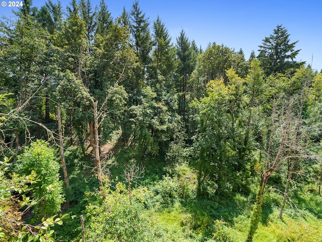 6605 W Burnside Rd Unit 144, Portland, OR 97210 - view of woods