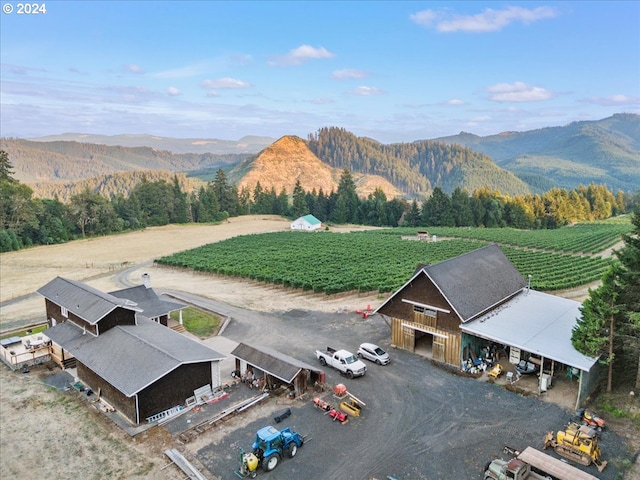 bird's eye view featuring a mountain view and a rural view