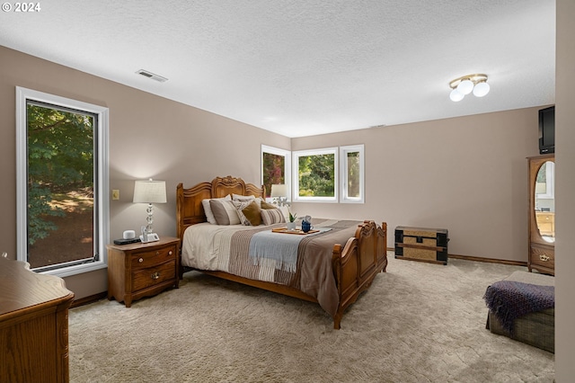 bedroom with light carpet, a textured ceiling, and multiple windows