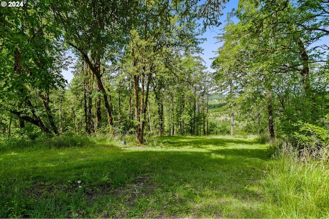 view of local wilderness