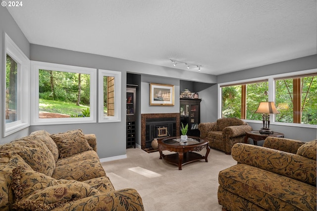 living room with plenty of natural light, rail lighting, a textured ceiling, and light colored carpet