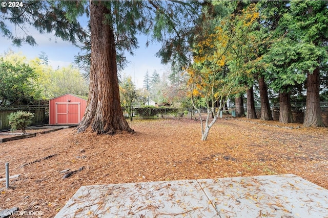 view of yard with a storage unit