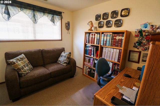 view of carpeted office space