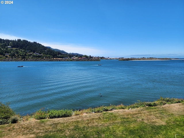 view of water feature