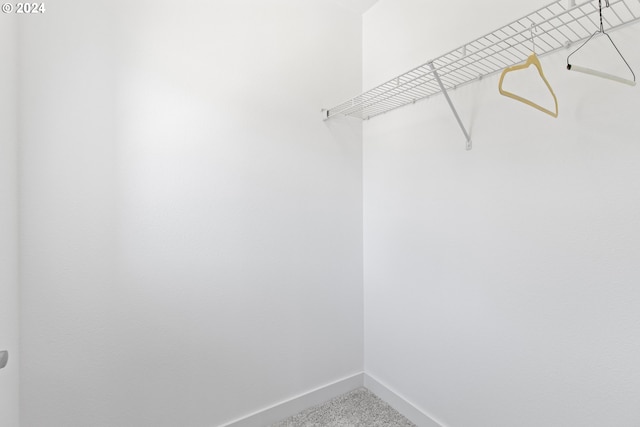 spacious closet featuring carpet floors