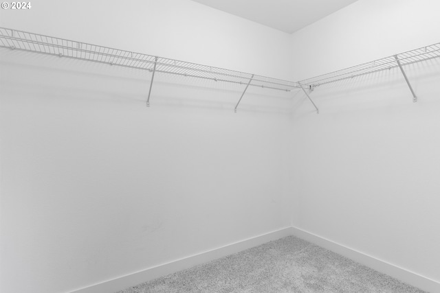 walk in closet featuring carpet flooring