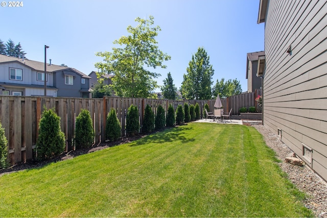 view of yard with a patio