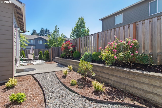 view of yard featuring a patio