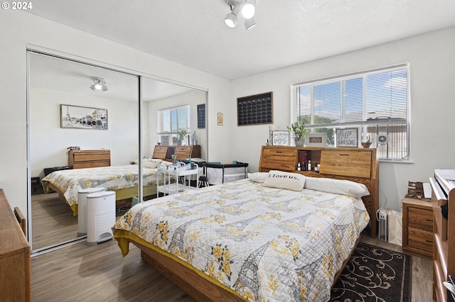 bedroom featuring multiple windows, a textured ceiling, hardwood / wood-style floors, and a closet