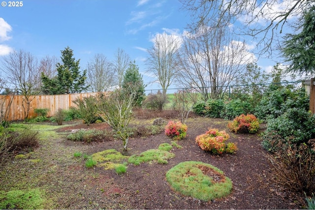 view of yard with fence