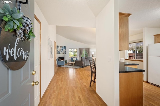 corridor featuring a healthy amount of sunlight, a textured ceiling, light wood-style flooring, and vaulted ceiling