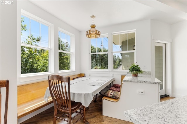 dining area with wood-type flooring