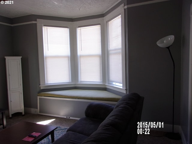 carpeted living room with a textured ceiling