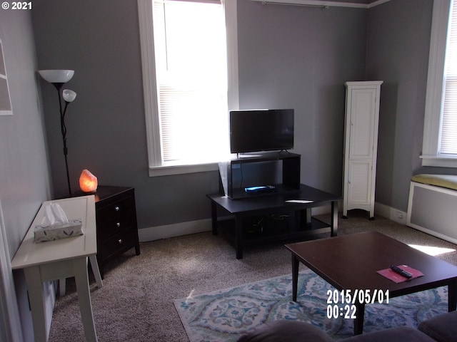 living room featuring light colored carpet