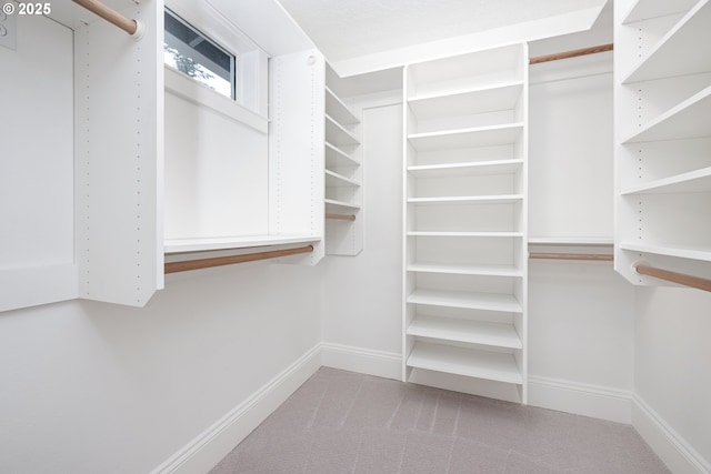 walk in closet featuring carpet floors