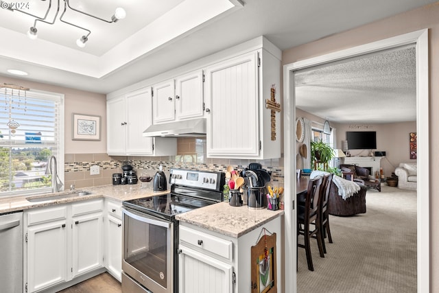 kitchen with light colored carpet, appliances with stainless steel finishes, sink, and white cabinetry