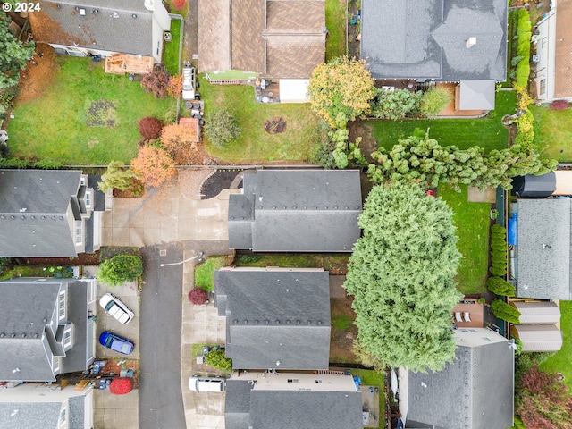 bird's eye view