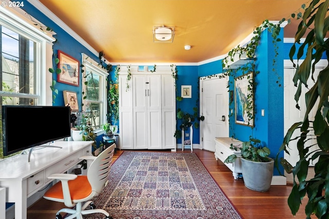 office space with a wealth of natural light, crown molding, and dark hardwood / wood-style floors