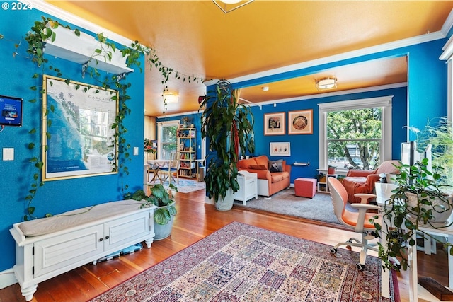 interior space with hardwood / wood-style floors and crown molding