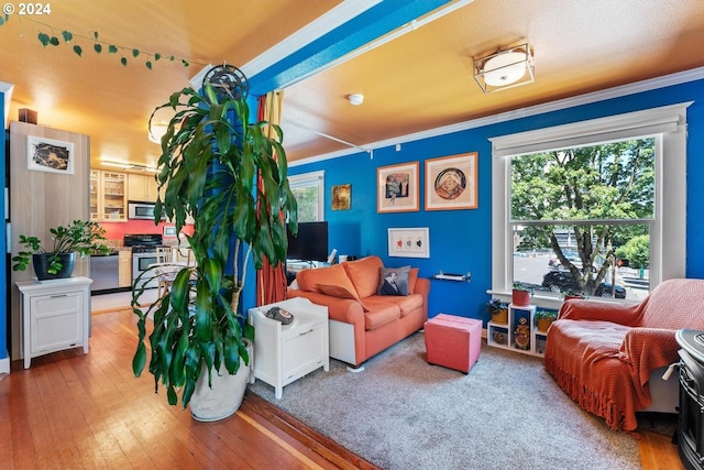 living room with crown molding and wood-type flooring