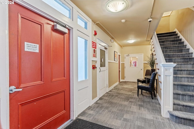 entryway featuring carpet and a healthy amount of sunlight